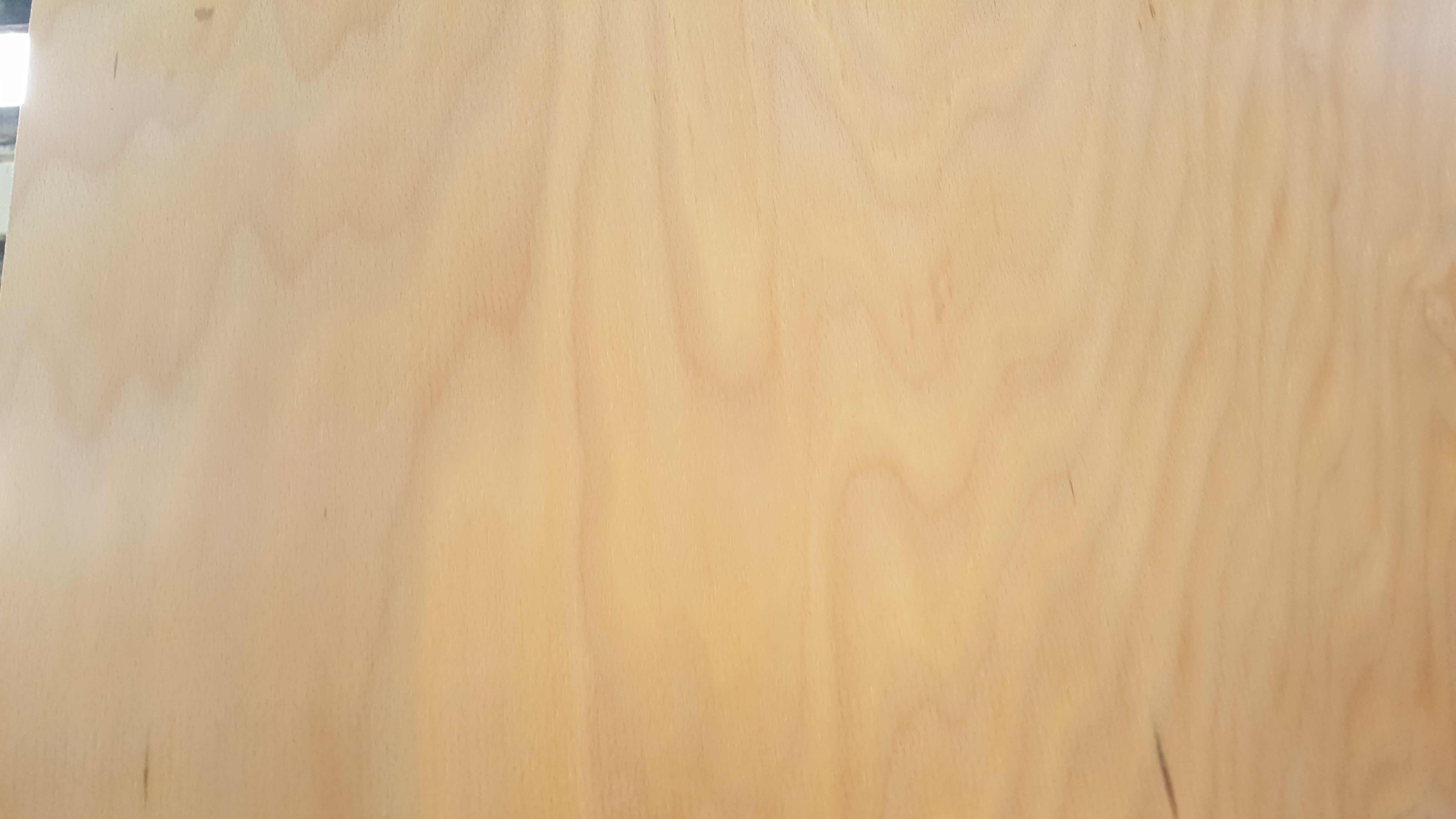 Beech Veneer